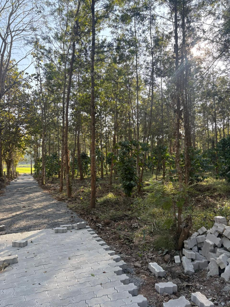 View 3