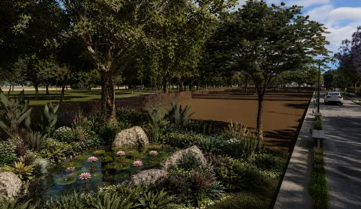 The lily pond in a bed of native planting