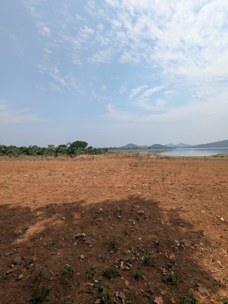 View 2